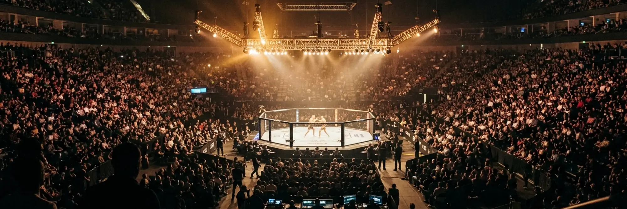 About UFC 333